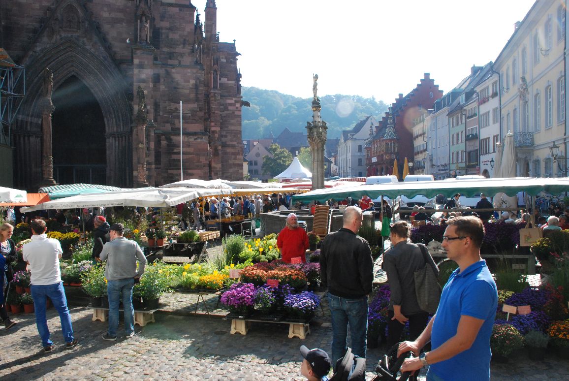 Freiburg_Muensterplatz – Pestalozzi-Fröbel-Verband e.V.